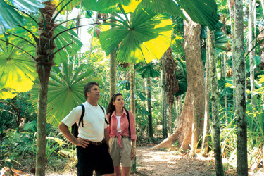 Discover the wilderness at Mission Beach