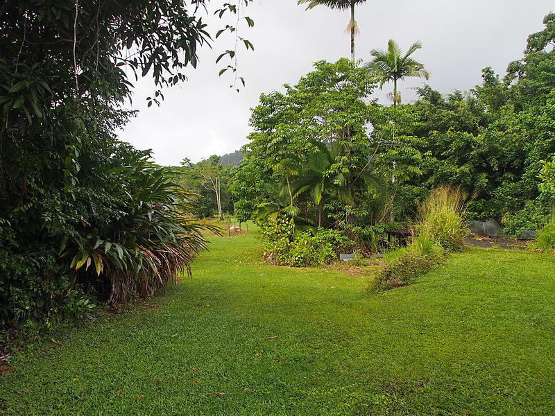 Mission Beach Land For Sale • Mission Beach Hinterland